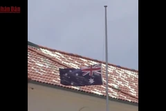 [Video] Australia siết quản lý súng đạn sau vụ thảm sát tại Bondi, Sydney 