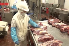 [Video] Mỹ dỡ bỏ thuế bổ sung 40% đối với nhiều mặt hàng nông sản của Brazil 