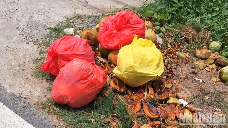 Rác thải trên địa bàn huyện Lấp Vò cơ bản được xử lý thu gom kịp thời.