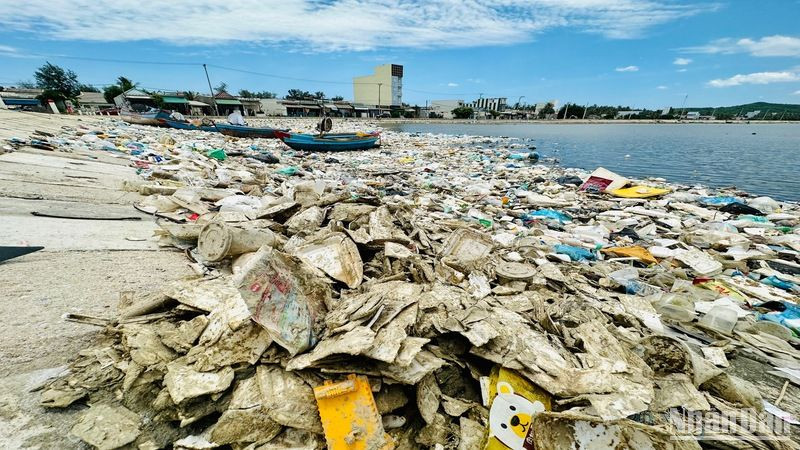 Nguy cơ dịch bệnh từ rác thải ứ đọng nhiều năm ở vùng biển Sa Huỳnh.