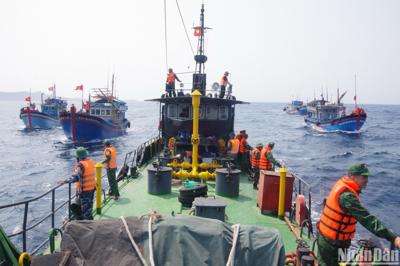 Nhiều tàu thuyền của ngư dân cùng các lực lượng tham gia tìm kiếm thuyền viên mất tích