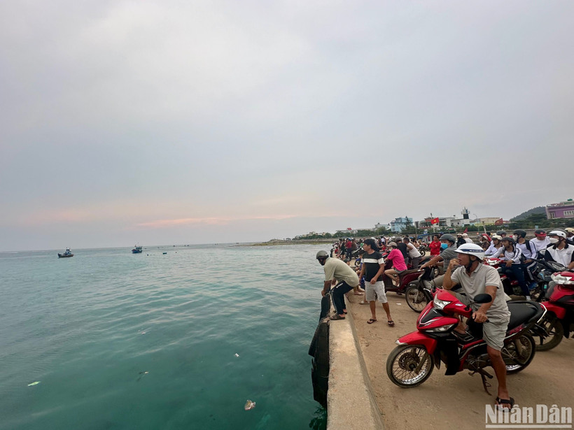Hàng trăm người dân đảo Lý Sơn tập trung bờ cảng ngóng chờ ngư dân mất tích.