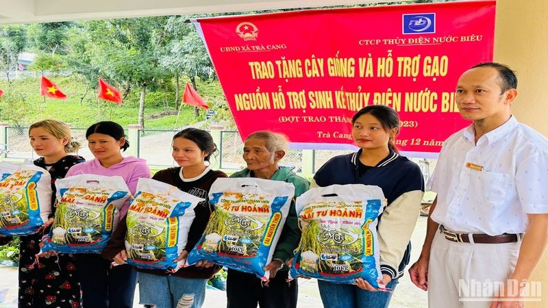 Hỗ trợ gạo và cây trồng rừng giúp bà con vùng thủy điện ổn định cuộc sống và bảo vệ rừng tốt hơn.