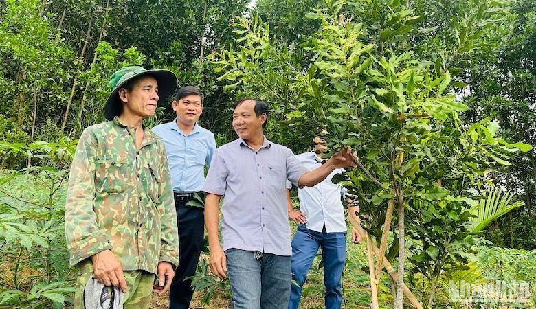 Chương trình Mỗi xã một sản phẩm hỗ trợ người dân miền núi phát triển kinh tế hộ gia đình.