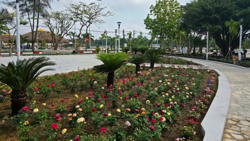 Các loại hoa được trồng tại Công viên Láng Le để phục vụ du khách.