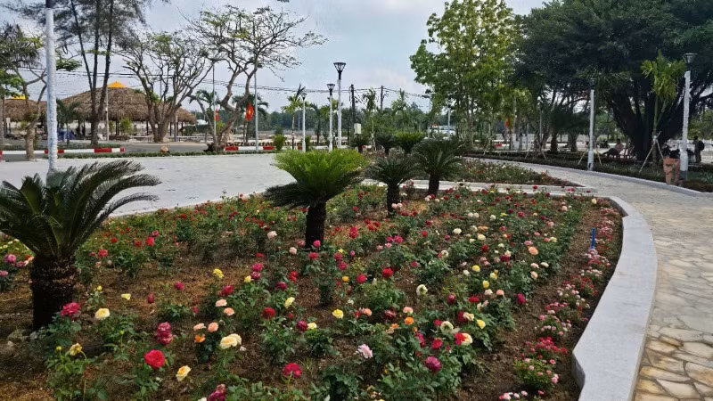 Các loại hoa được trồng tại Công viên Láng Le để phục vụ du khách.