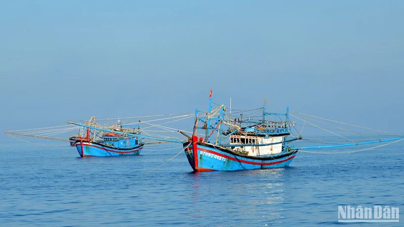 Ảnh minh họa. (Nguồn: Đình Châu)
