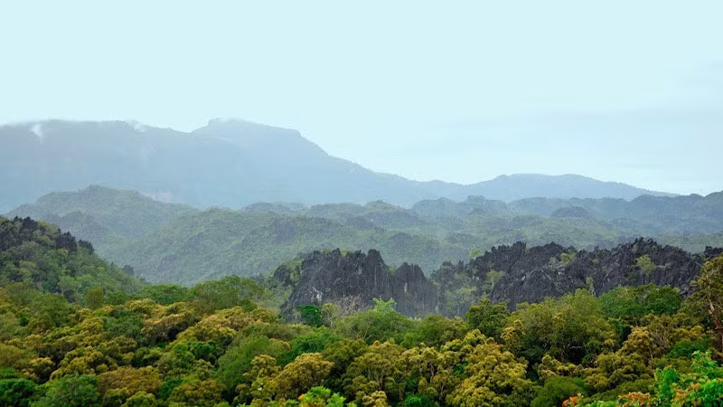 Còn nhiều khó khăn trong công tác quản lý, bảo vệ rừng.