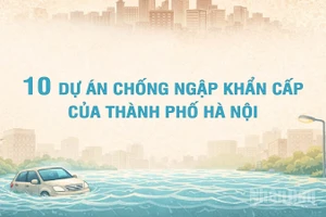 [Infographic] 10 dự án chống ngập khẩn cấp của thành phố Hà Nội