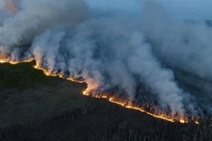 Khói bốc lên từ các vụ cháy rừng ở British Columbia, Canada, ngày 8/6/2023. (Ảnh: THX/TTXVN)