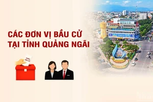 [Infographic] Các đơn vị bầu cử đại biểu Quốc hội tại tỉnh Quảng Ngãi