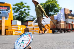 (Ảnh: THÀNH ĐẠT)