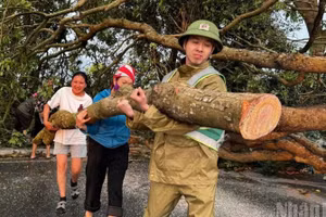 Nhân dân phường Cầu Thia cùng nhau dọn dẹp cây đổ sau dông, lốc. (Ảnh: THANH SƠN)