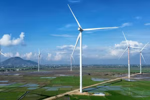 Tỉnh Ninh Thuận đang đẩy mạnh phát triển năng lượng tái tạo gắn với bảo vệ môi trường, ứng phó biến đổi khí hậu. (Ảnh: Nguyễn Thành – TTXVN)