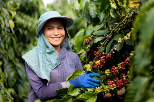 Kinh tế tuần hoàn là động lực chuyển đổi xanh 