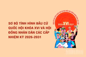 [Infographic] Sơ bộ tình hình bầu cử đại biểu Quốc hội khóa XVI và đại biểu Hội đồng nhân dân các cấp nhiệm kỳ 2026-2031