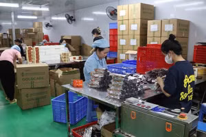 Khu vực đóng gói sản phẩm của Công ty Gold Care.