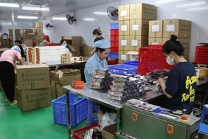 Khu vực đóng gói sản phẩm của Công ty Gold Care.