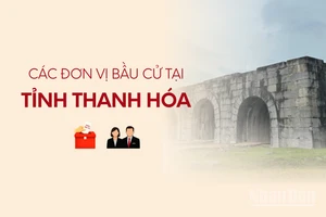 [Infographic] Các đơn vị bầu cử đại biểu Quốc hội tại tỉnh Thanh Hóa