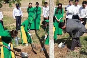 Tập thể cán bộ, người lao động Tổng Công ty Thương mại và Xây dựng số 6 trồng cây hưởng ứng chương trình “No6 Green - giữ mãi màu xanh vùng đất lịch sử Điện Biên Phủ”.