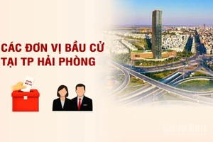 [Infographic] Các đơn vị bầu cử đại biểu Quốc hội tại thành phố Hải Phòng