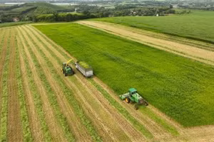 Ảnh minh họa. (Ảnh: Vũ Sinh - TTXVN)