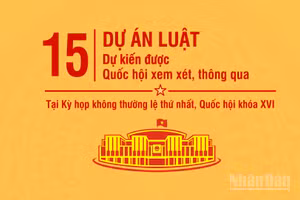 [Infographic] 15 dự án luật dự kiến được xem xét, thông qua tại Kỳ họp không thường lệ thứ nhất, Quốc hội khóa XVI