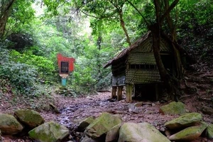 Lán Khuổi Nậm ở Pác Bó, nơi diễn ra Hội nghị Trung ương Đảng Cộng sản Đông dương lần thứ VIII (5/1941). (Ảnh: baocaobang.vn)