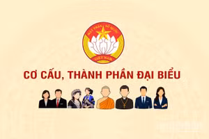 [Infographic] Cơ cấu, thành phần đại biểu tham dự Đại hội đại biểu toàn quốc Mặt trận Tổ quốc Việt Nam lần thứ XI, nhiệm kỳ 2026-2031