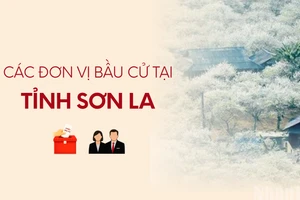 [Infographic] Các đơn vị bầu cử đại biểu Quốc hội tại tỉnh Sơn La