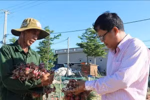Nâng cao hiệu quả hoạt động tín dụng chính sách xã hội vùng biên giới, hải đảo.