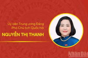 [Infographic] Tiểu sử Phó Chủ tịch Quốc hội Nguyễn Thị Thanh