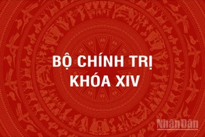 [Infographic] Bộ Chính trị Ban Chấp hành Trung ương Đảng Cộng sản Việt Nam khóa XIV