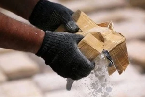 Mexico: 11 người thiệt mạng trong chiến dịch truy quét ma túy