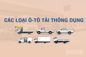 [Infographic] Các loại xe tải thông dụng theo Thông tư số 53/2024/TT-BGTVT 