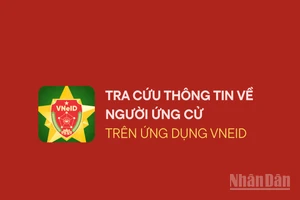 [Infographic] Cách tra cứu thông tin về người ứng cử đại biểu Quốc hội và Hội đồng nhân dân trên VNeID