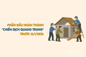 [Infographic] Phấn đấu đến 15/1/2026 hoàn thành "Chiến dịch Quang Trung" chào mừng Đại hội Đảng XIV