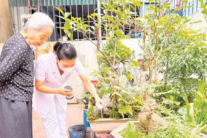 Nhân viên y tế hỗ trợ người dân sử dụng hóa chất để phòng, chống dịch sốt xuất huyết.