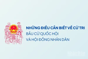 [Infographic] Những điều cần biết về cử tri