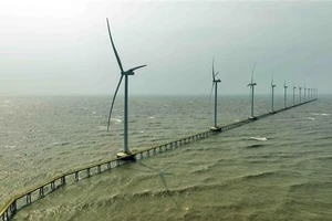 Ảnh minh họa. (Ảnh: VŨ SINH - TTXVN)