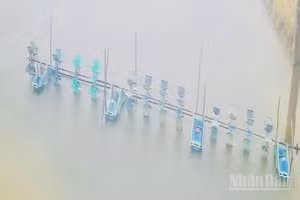 Nước xi-măng và nước bẩn gây ô nhiễm diện tích nuôi tôm của một số người dân, trong đó làm tôm thẻ nuôi bán công nghiệp của ông Lê Thành Công ở phường Vĩnh Trạch (Cà Mau) chết. (Ảnh: TRỌNG DUY)