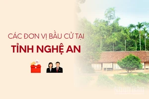 [Infographic] Các đơn vị bầu cử đại biểu Quốc hội tại tỉnh Nghệ An
