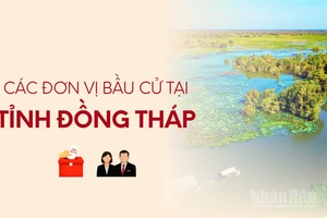 [Infographic] Các đơn vị bầu cử đại biểu Quốc hội tại tỉnh Đồng Tháp