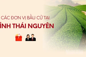 [Infographic] Các đơn vị bầu cử đại biểu Quốc hội tại tỉnh Thái Nguyên