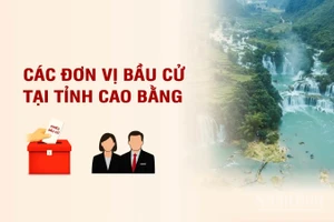 [Infographic] Các đơn vị bầu cử đại biểu Quốc hội tại tỉnh Cao Bằng