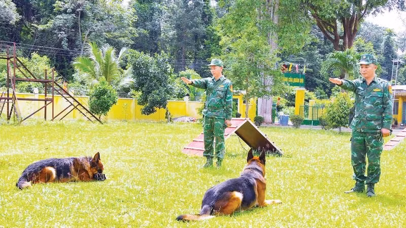 Huấn luyện chó nghiệp vụ tại Cụm cơ động chó nghiệp vụ số 2.
