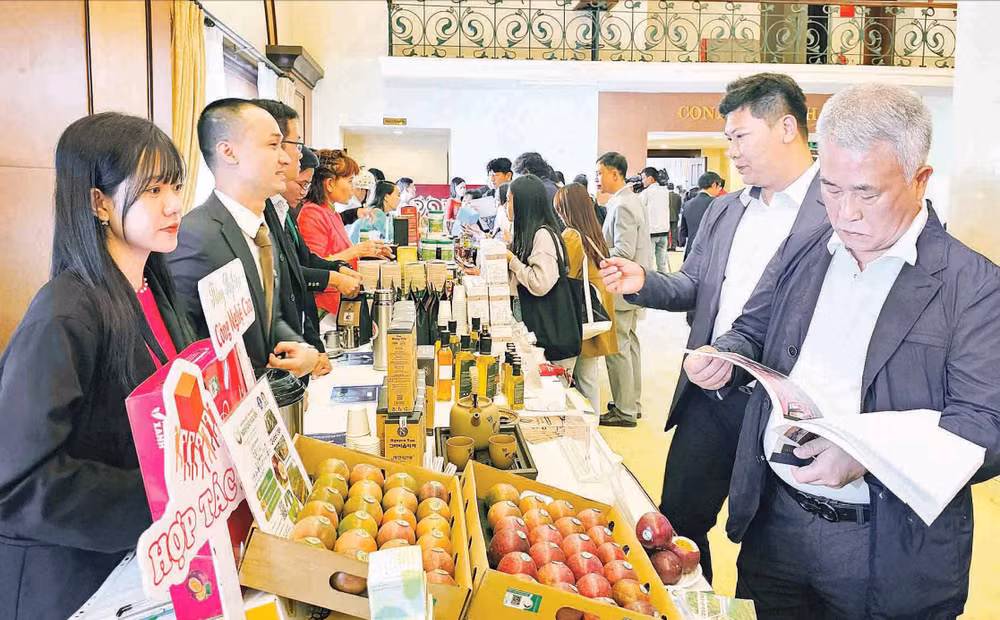 Doanh nghiệp trong nước và nước ngoài tìm hiểu nông sản Lâm Đồng bên lề một hội nghị kết nối giao thương.