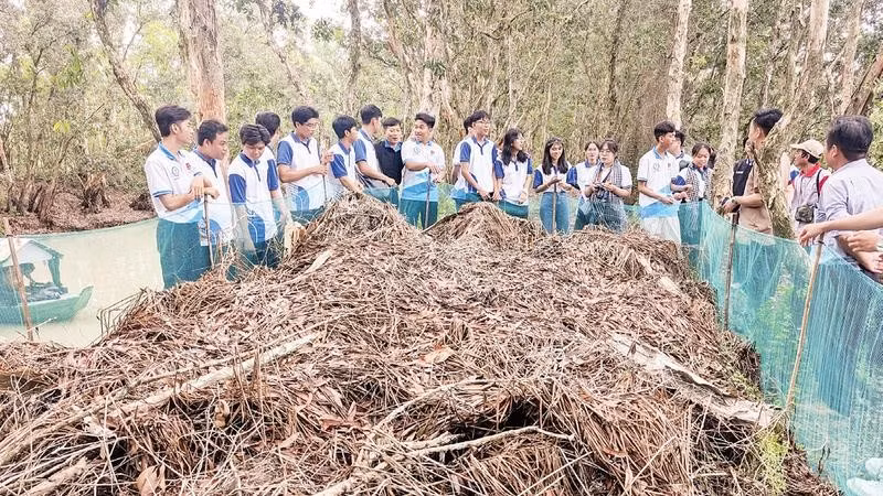 Du khách tham gia trải nghiệm dỡ chà chuột.
