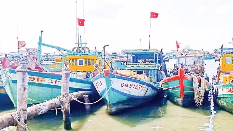 Tàu cập bến.