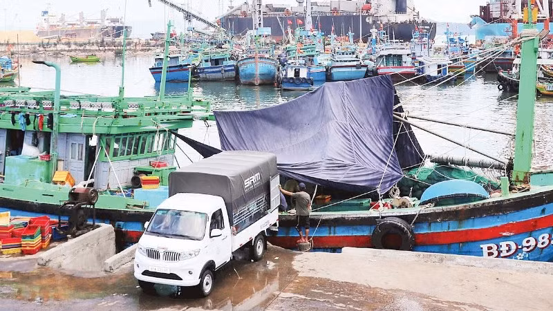 Mỗi năm cảng cá Quy Nhơn đón khoảng 11.000 lượt tàu thuyền ra vào.